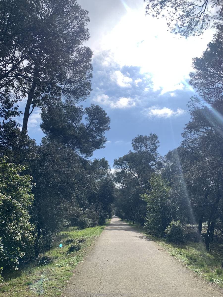 Photo de l'événement
