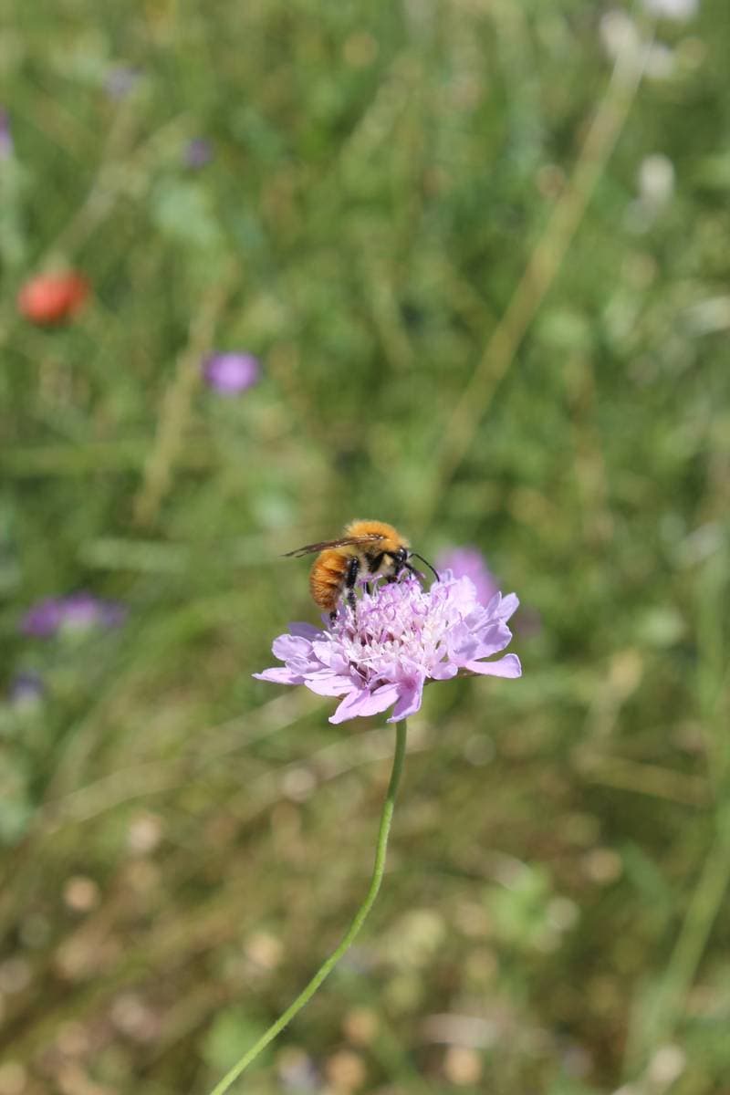 Photo de l'événement