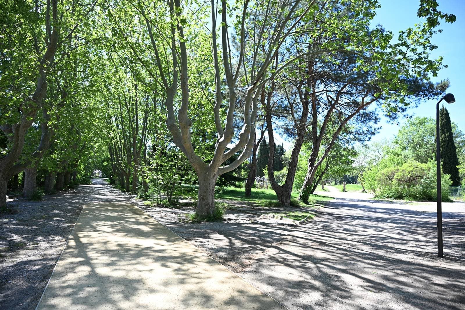 Photo de l'événement