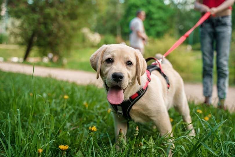 Photo de l'événement