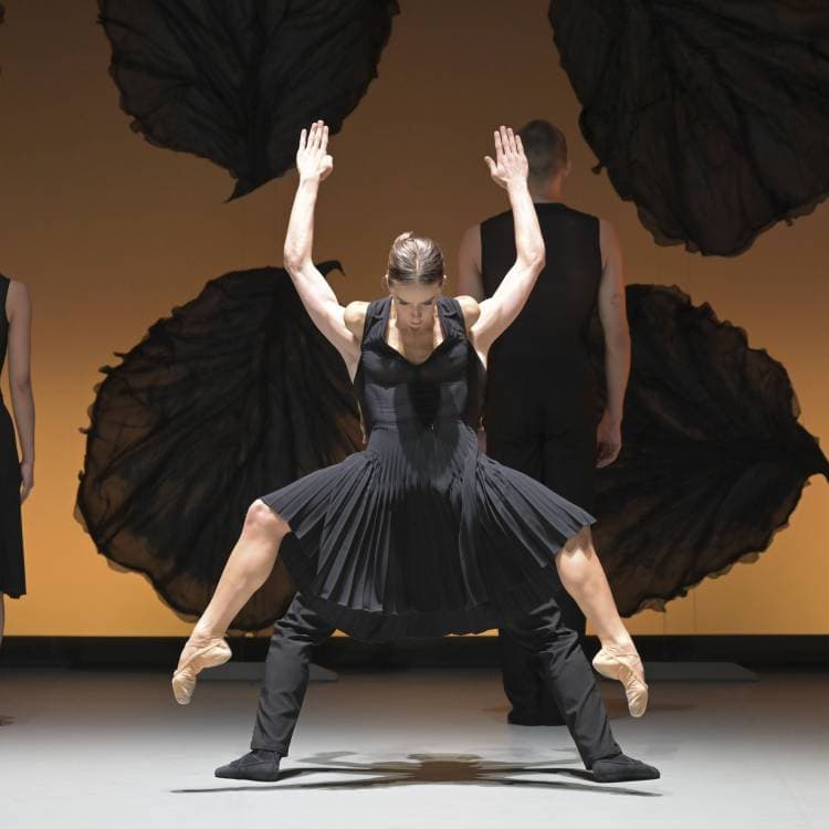 Photo de l'événement