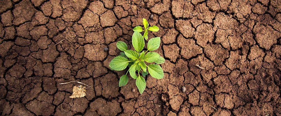 Photo de l'événement