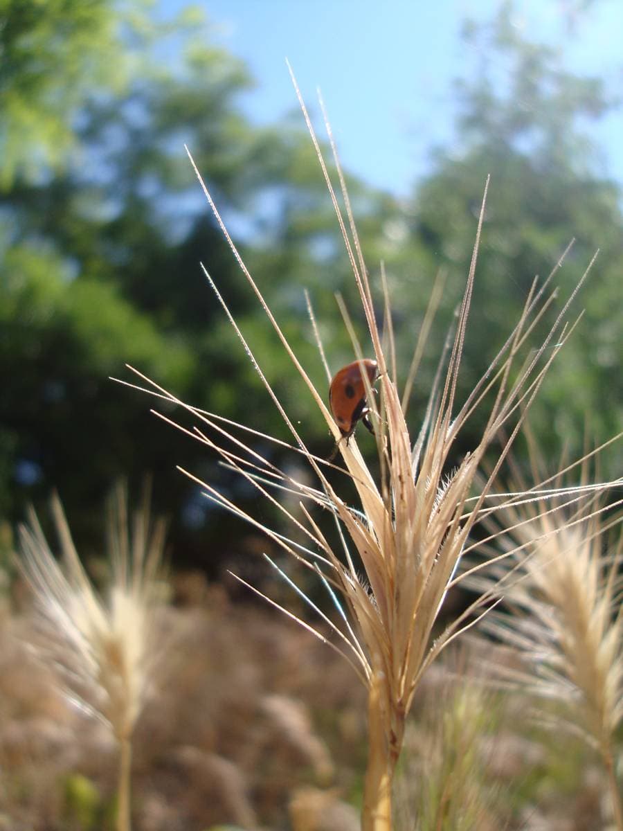 Photo de l'événement