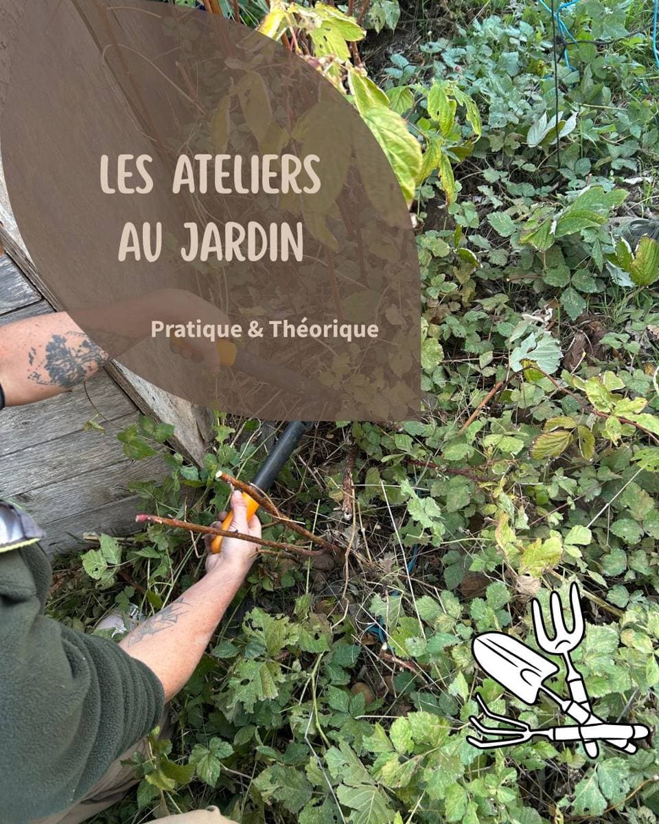 Photo de l'événement