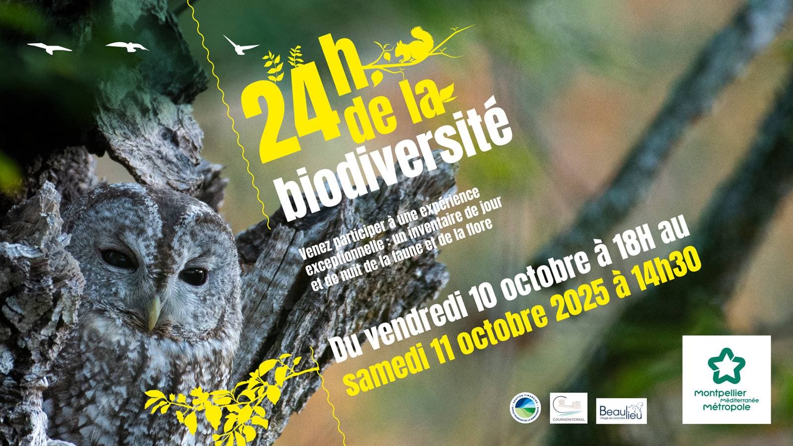 Photo de l'événement